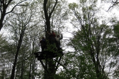 K1600_IMG_0309