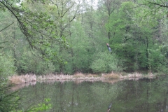 K1600_IMG_0313