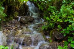 K1600_IMG_6180