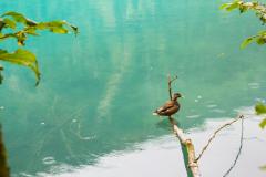 K1600_IMG_6310