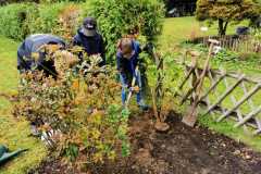 img-20201003-wa0012