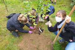 img-20201003-wa0018