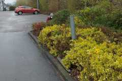 41ef96bf-7a64-4151-9751-97c8555b359a