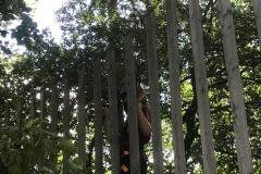 K1600_Bild-20240608-091432-5e9ba987