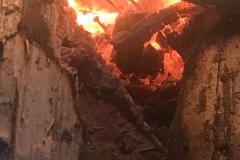 K1600_Bild-20240104-111739-83546a4e
